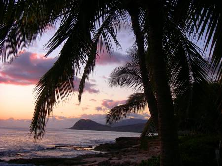 paradise Cove Luau
