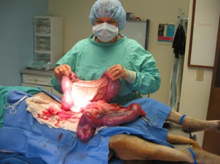 Me! in surgery