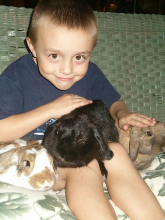 Grayson and the bunnies