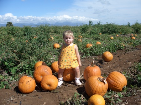 Pumpkin Patch 2005