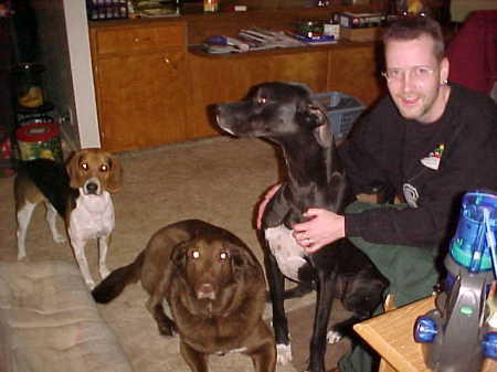 me and the other dogs zazue, simba, nala