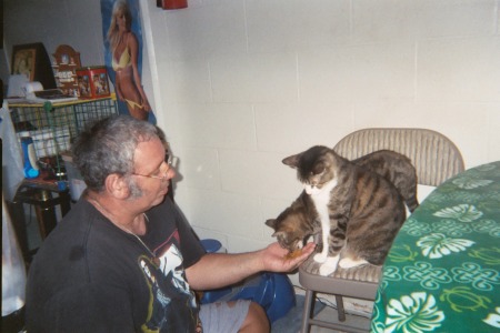 this is me feeding the cats