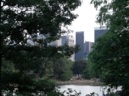 Gayle Moynihan's album, Walk Home - Peek at the Park