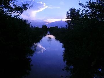 horse back riding trail