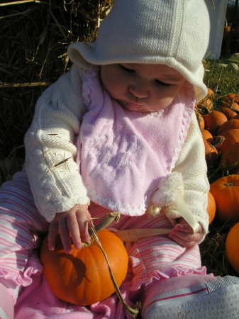 Pumpkin Patch