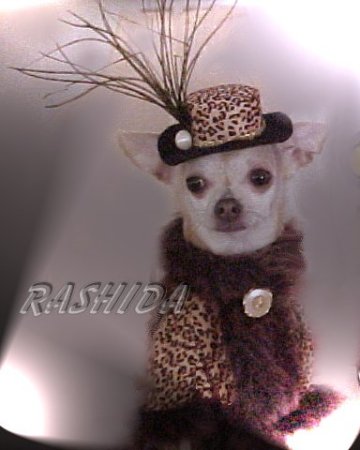 Rashida in her fur outfit