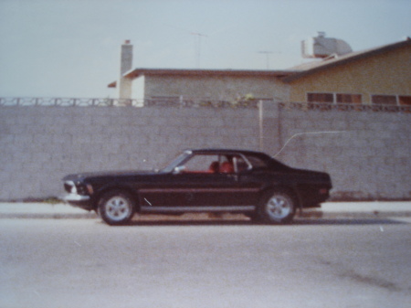 My Mustang in High School.