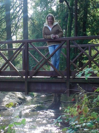 The Bridge at Leverich Park