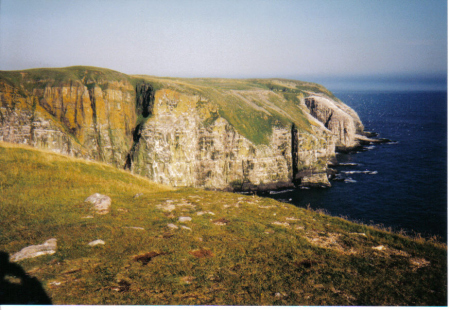 Cape St. Marys, Nf., Summer '99