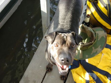 Kaiko on our boat