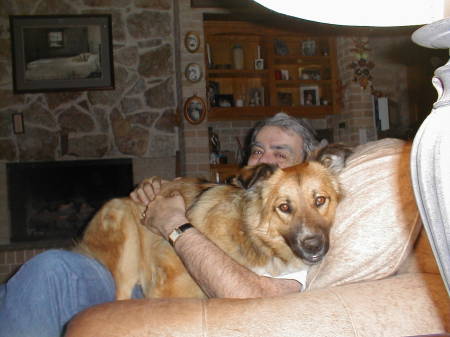 Poor Raife who thinks he's a lap dog.