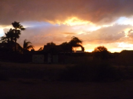 Starr Guckert's album, Arizona Desert, Summer 2010