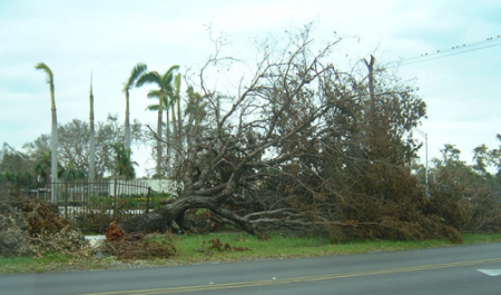 our old neighborhood in Florida, near Ft. Laud