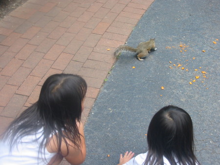 Girls and squirrels (well, 1 squirrel!)