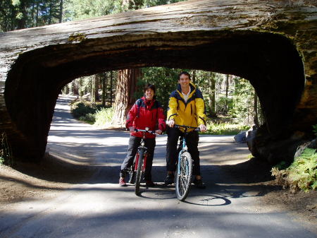 Biking in Sequoia