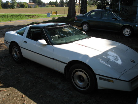 1984 corvette 004