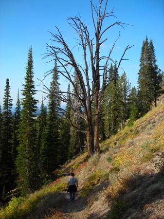 Hiking in the Trinity Mountains