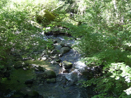 A creek