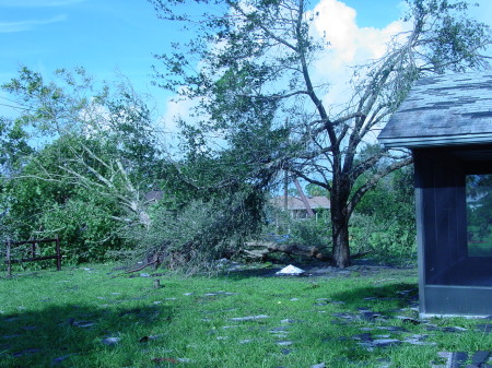 My back yard after Hurricane Charlie, those shingles are my roof!