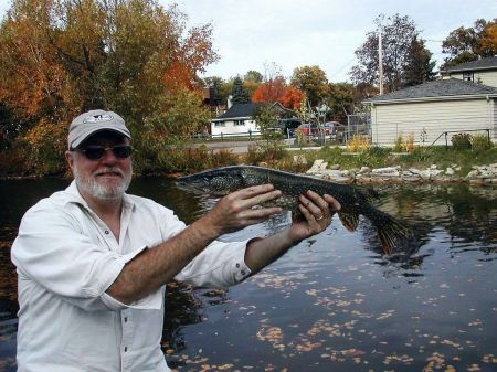 Northern Pike