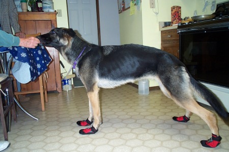 Max in boots