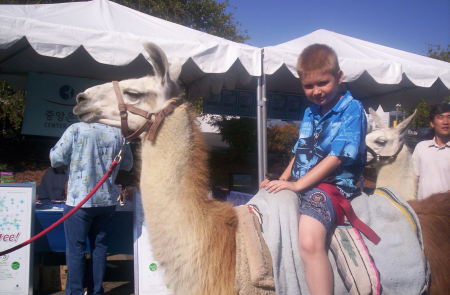 TJ on a llama