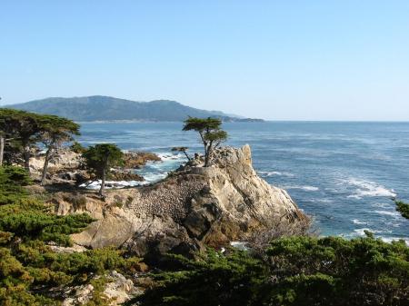 Lone Cypress (Monterey, CA)