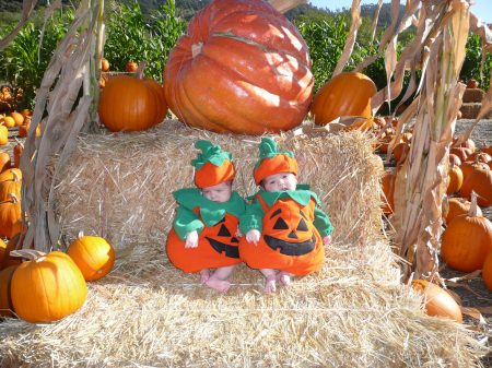 Our little pumpkins 2008