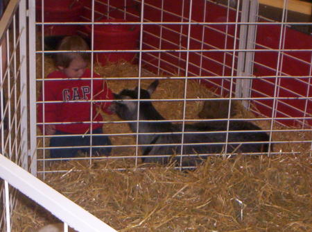 My grandson Ethan at the stock show