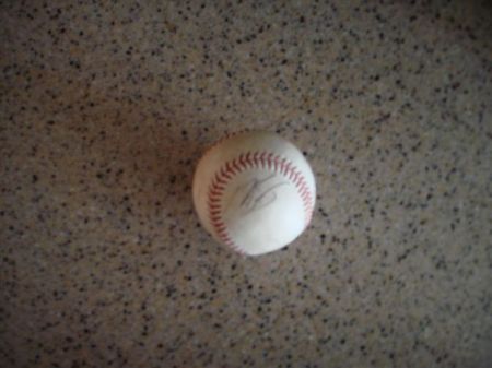 Home Run Baseball I caught at 2008 game