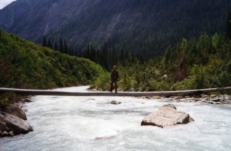 log bridge - about 55kms north of Golden BC