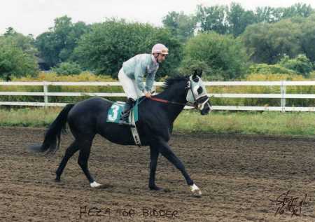 Another one of my race horses