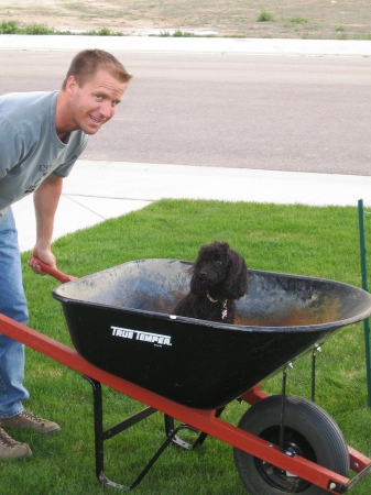 Planting trees and shrubs with help from our dog, Jett.