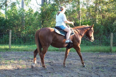 My horse "Cowboy"