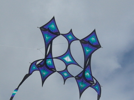 New Hobby Kite Flying