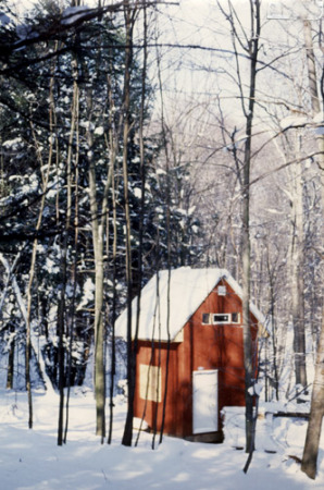 Crown winter at the Leeper Colony