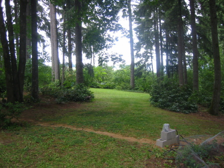 Some of the landscaped areas inside our woods