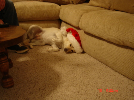 This is Sara After the X-mas Party