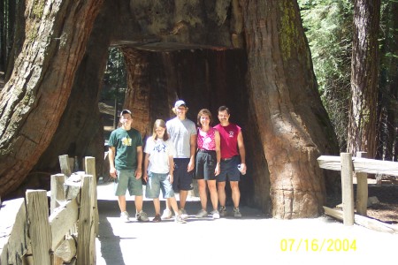 Family at Sequoia National