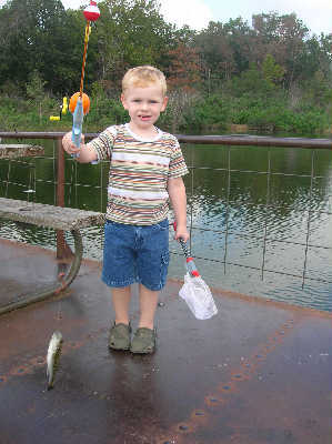Toby and his fish