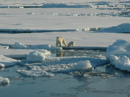 Another National Geographic Moment...