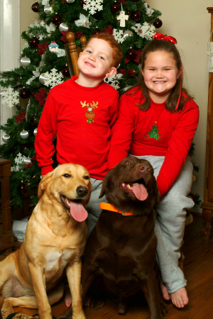 My sweet babies and our dogs