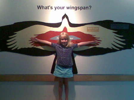 Madelyn's wingspan