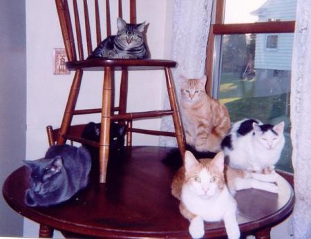 And of course some of my CATS =)