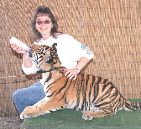 Tiger at State Fair