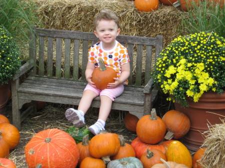 Pumpkin Patch at Dallas Arboretum