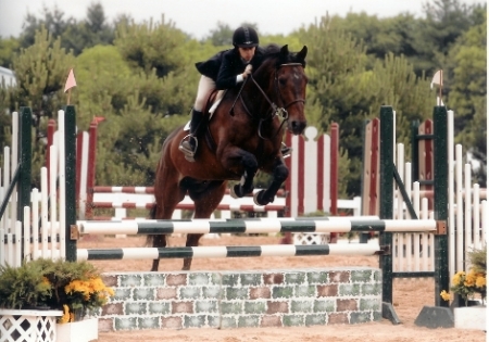 My daughter Megan in the St Louis Jumpers on her horse Legacy