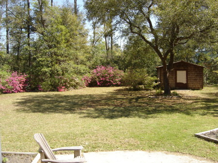 My back yard