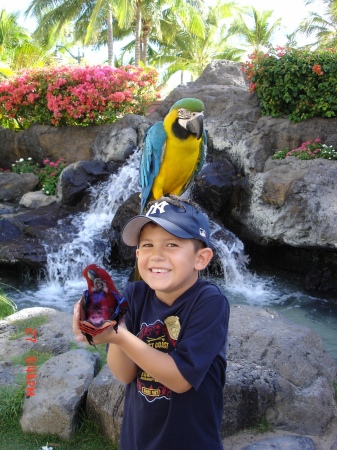 My son Caleb in Hawaii...June 2005