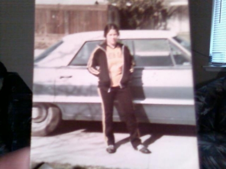 yo high school 1978